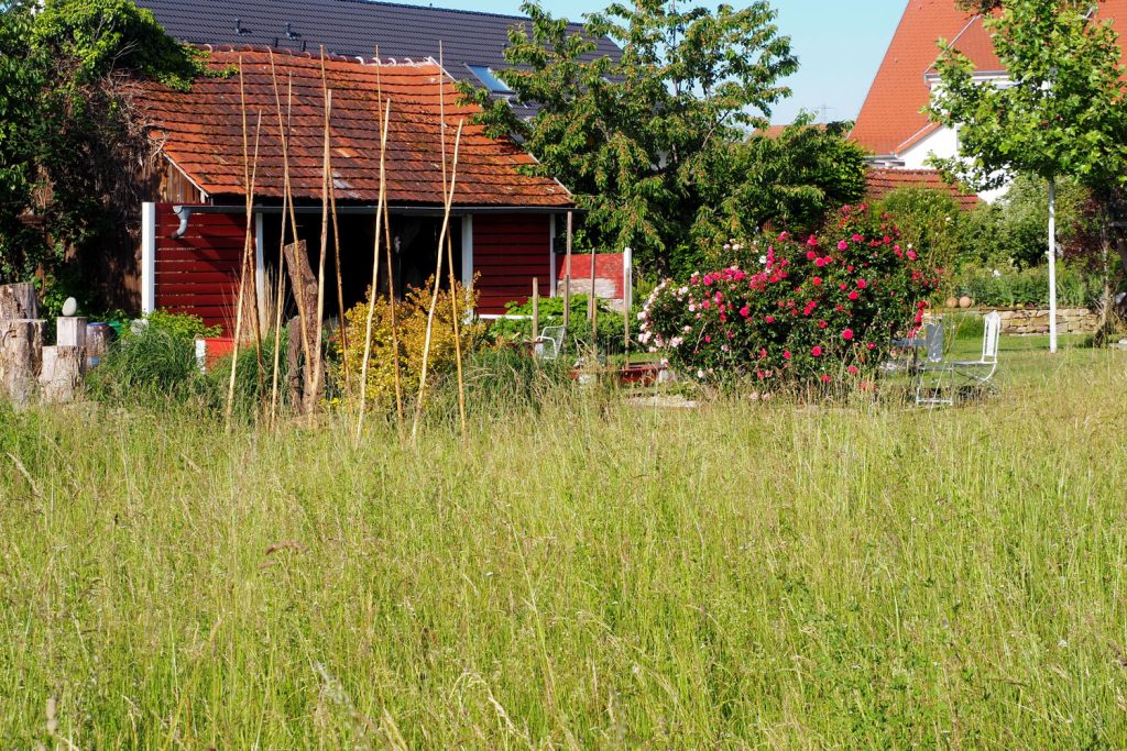 Günthner-Müller