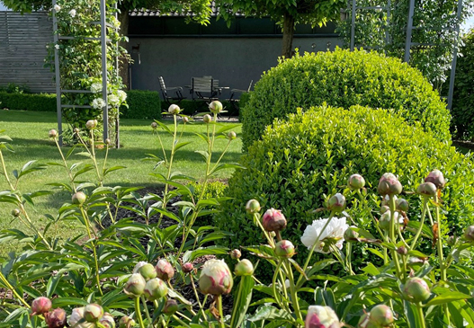 garten_vollmer-pachl1_göppingen-bezgenriet