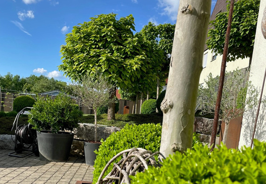 garten_vollmer-pachl3_göppingen-bezgenriet