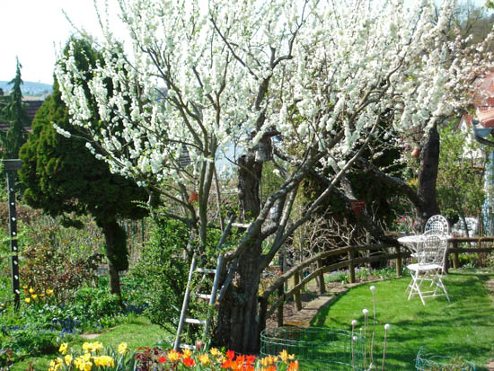 garten-esslingen-seracher heide6