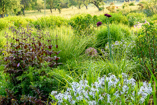 garten_ohmden_funke4