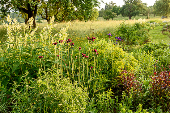 garten_ohmden_funke2