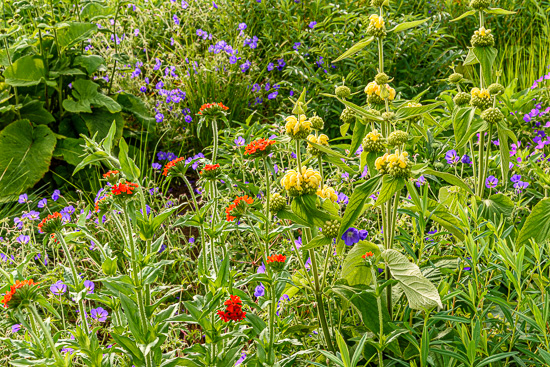 garten_ohmden_funke3