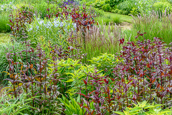 garten_ohmden_funke6