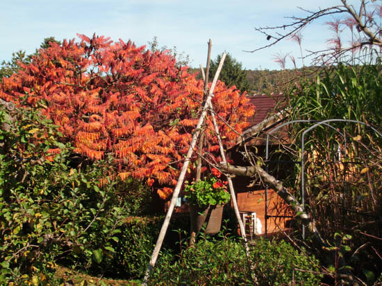 garten-esslingen-seracher heide8