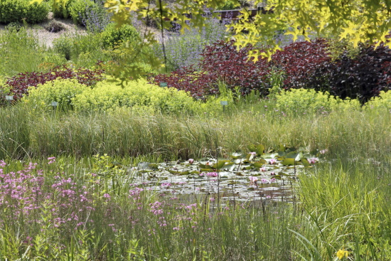 garten_nuertingen_braike6