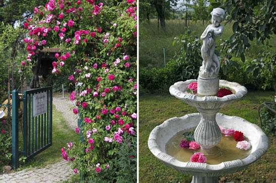 garten_wendlingen_jurisch1