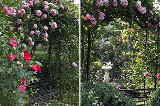 garten_wendlingen_jurisch2
