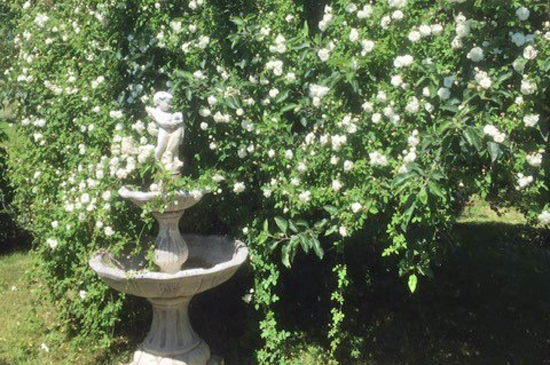 garten_wendlingen_jurisch20
