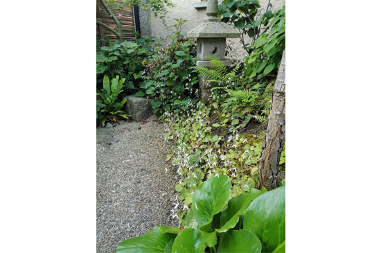 garten_walheim_leuze8
