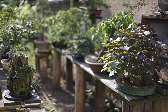 garten_walheim_leuze2