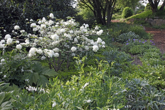 garten_nuertingen_braike5