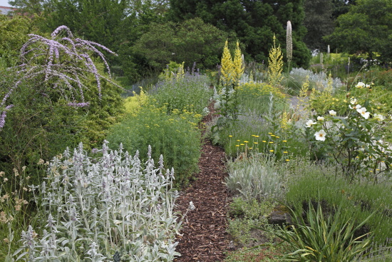 garten_nuertingen_braike2