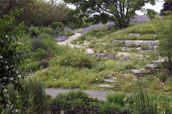 garten_nuertingen_braike1_Steingarten