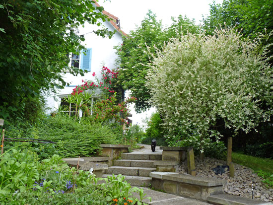 Vorschau_garten_ostfildern-scharnhausen-maier2