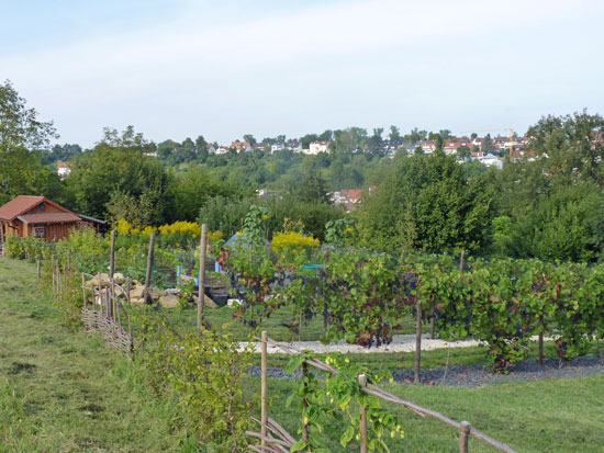garten_ostfildern-scharnhausen-maier9