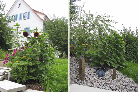 garten_ostfildern-scharnhausen-maier1