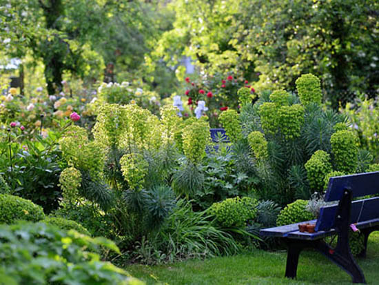 garten_dettingen_erms_notz5