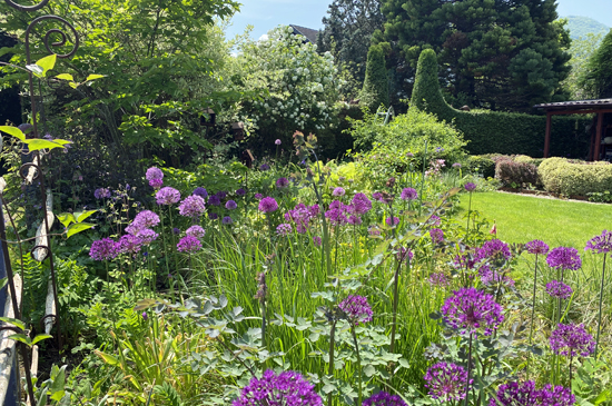 garten_dettingen_erms_notz6