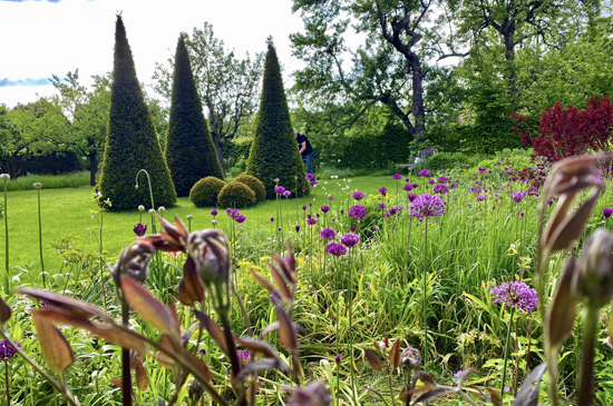 garten_dettingen_erms_notz7