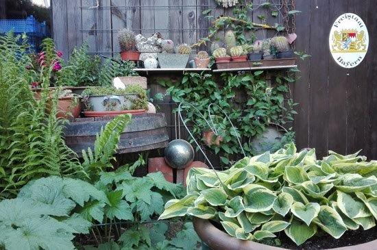garten_raasch_hemmingen3
