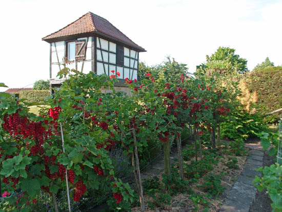 garten-esslingen-seracher heide7