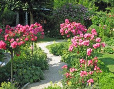 Garten Bauer in Holzmaden