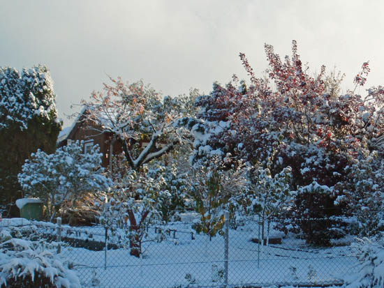 garten-esslingen-seracher heide9