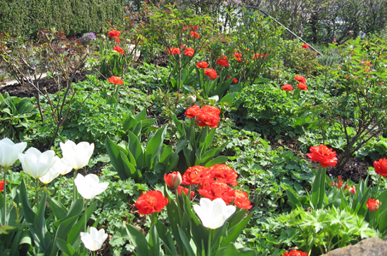 garten-esslingen-eppinger7