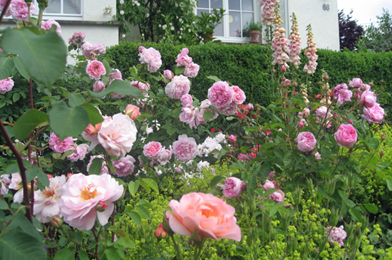 garten-esslingen-eppinger8
