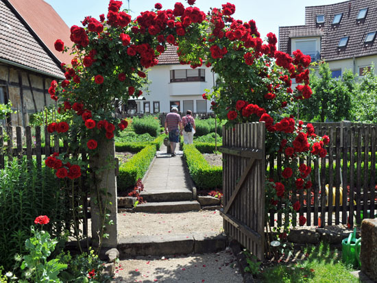 garten_wendlingen_museumsgarten3