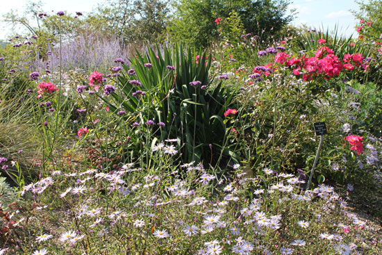 garten_nuertingen_braike13